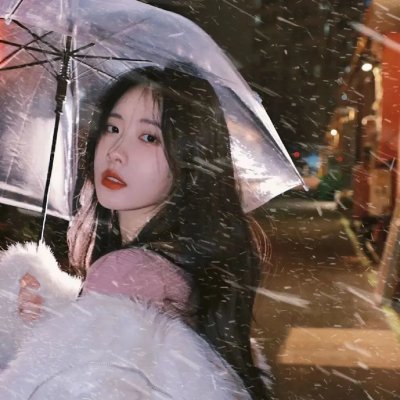 南布朗克斯的骑士